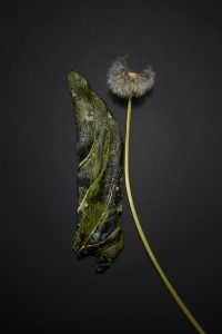 20-05-20 Jean Sulpice2965