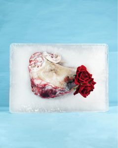 tête de cochon par Alexis Manchion