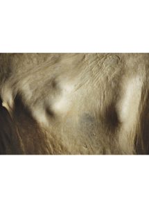 BENOIT CASTEL_FETE DES MERES_V2 090320220212