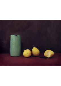 CHASSARY_Amelie_EDLS_Poires