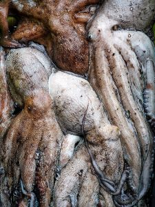 Corps Flottants 7_1850px