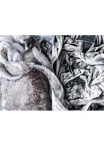 Dyptique poulpe monochrome ok