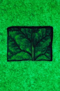 Room With a View - Final BD