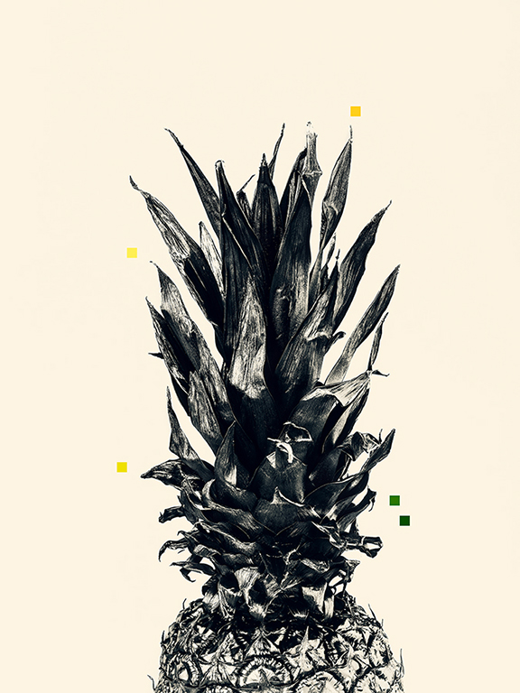 Ananas par Stéphane Bahic