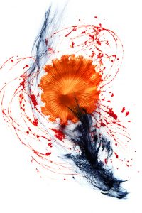 le rouget de Lulu IA 768px